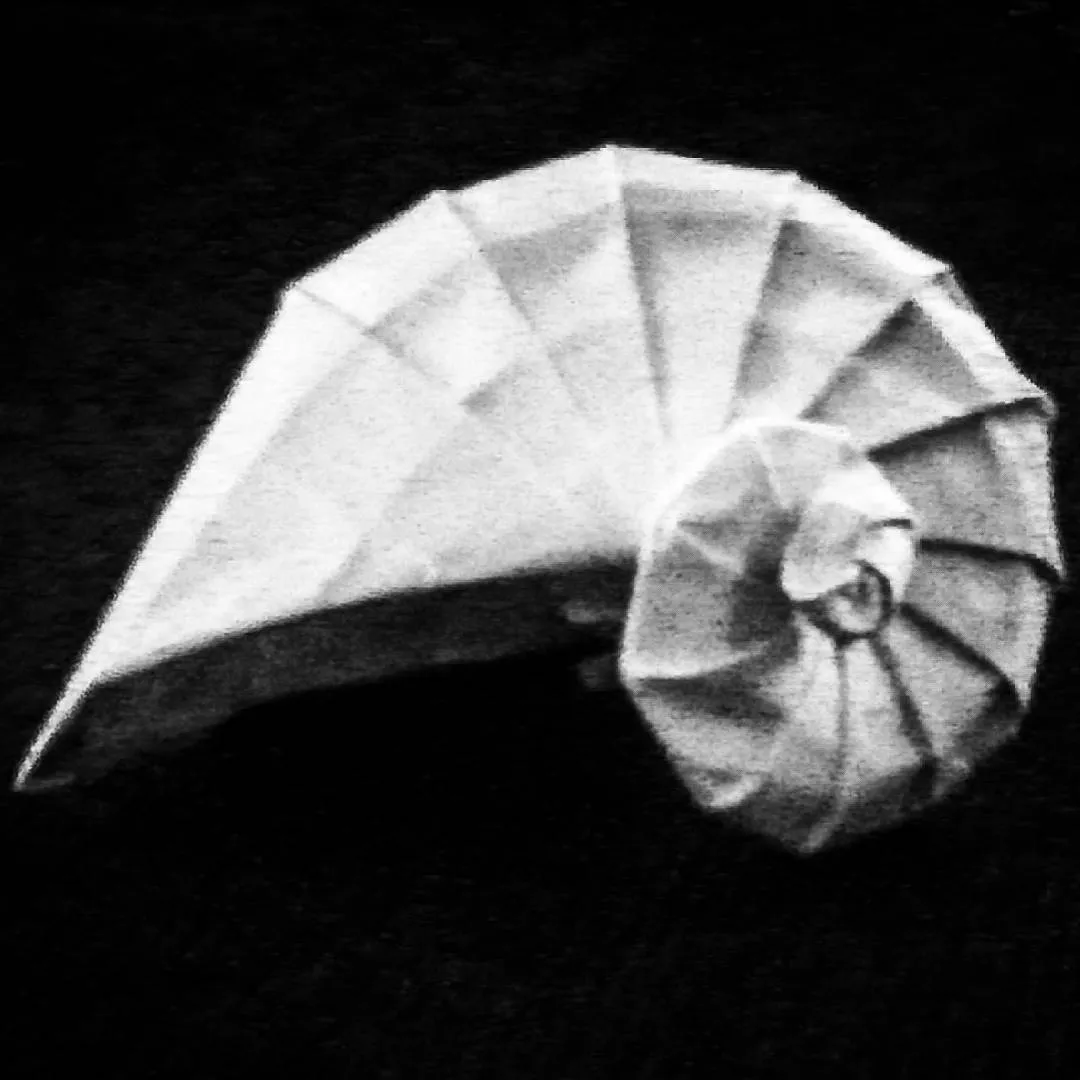 Navel Shell - Tomoko Fuse