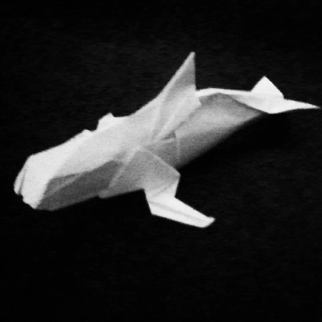 Vaquita - Kade Chan