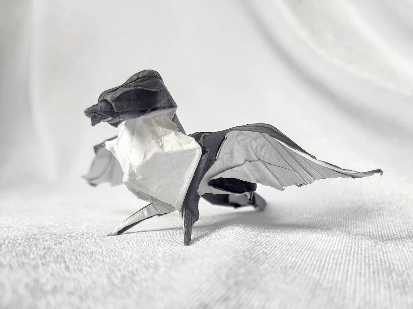 Robin - Winston Lee